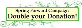 Spring_Forward_Campaign_button
